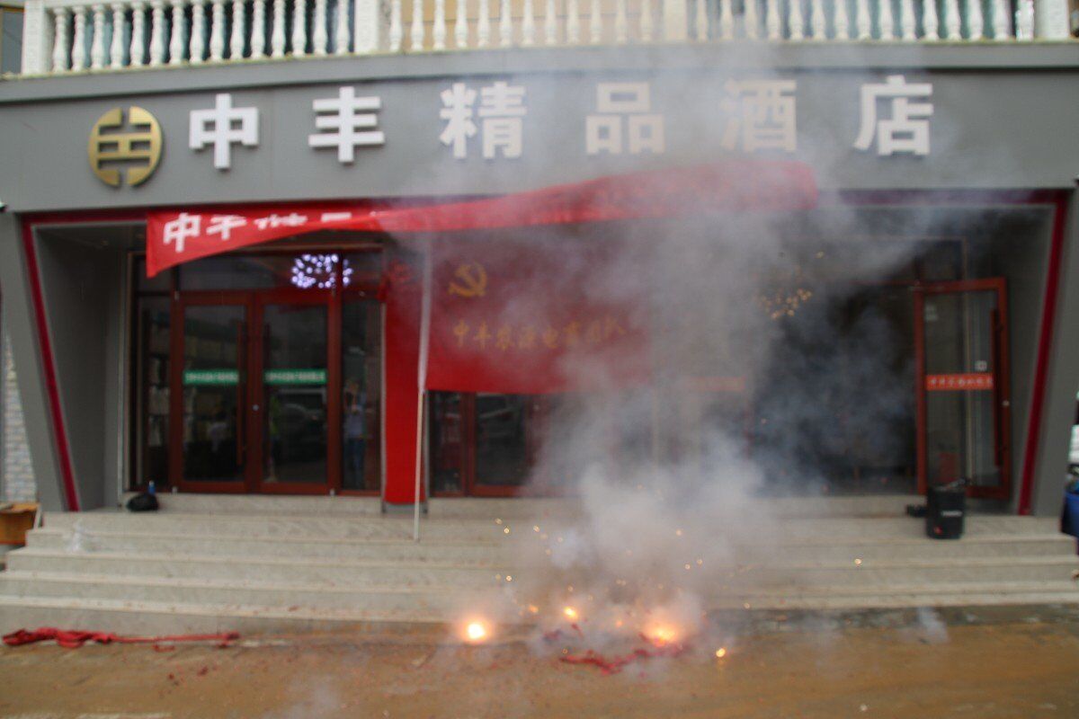 ���g���������